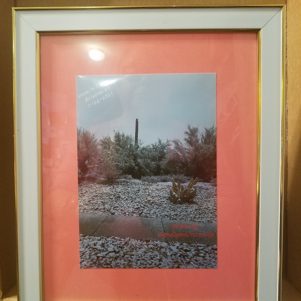 I took this picture here in Tucson Arizona of the
